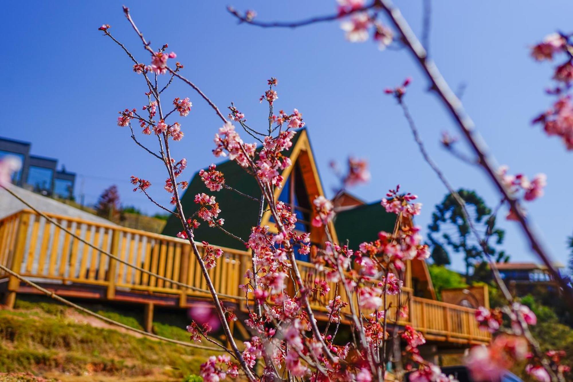 Laraland Chalet